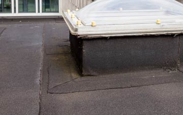 disadvantages of Ruthall flat roofs