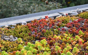 the cost of Ruthall green roof installation