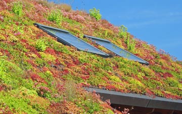 Ruthall living roof systems